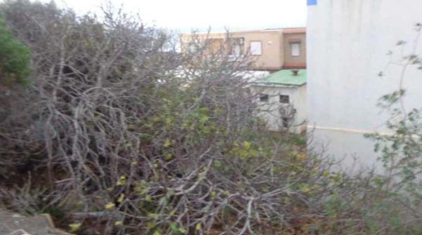 Terreno en calle Real