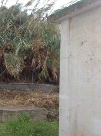 Terreno en calle Real