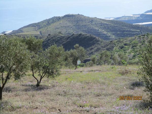 Terreno en Paraje Las Chumbillas s/n