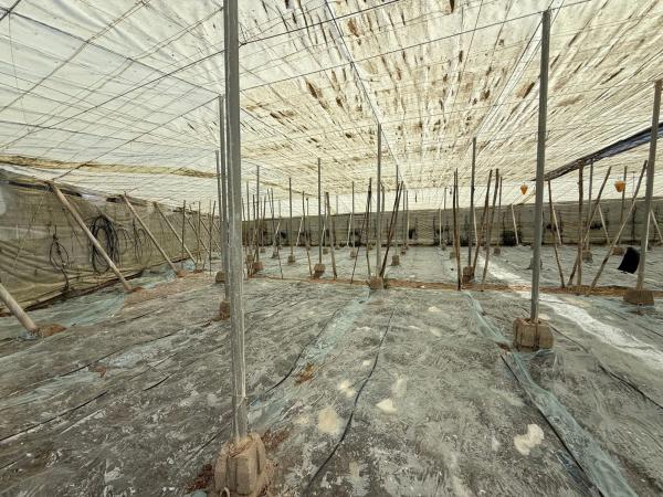 Terreno en camino de Hazano s/n