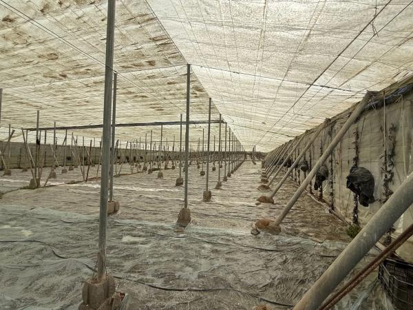 Terreno en camino de Hazano s/n