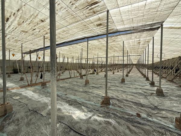 Terreno en camino de Hazano s/n