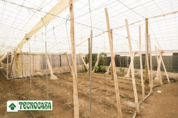 Terreno en Zanja de la Manrubia