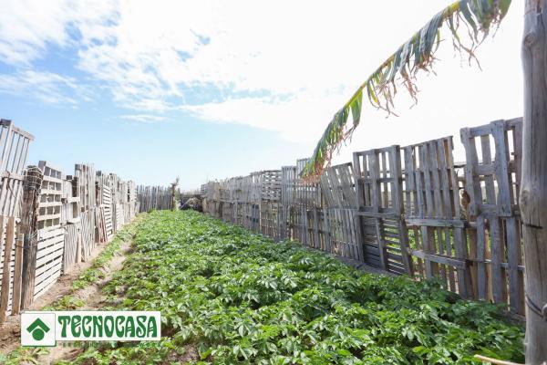Terreno en Zanja de la Corrala