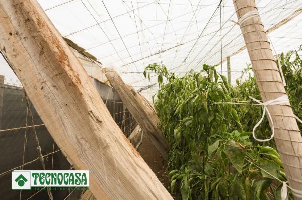 Terreno en Zanja de la Manrubia