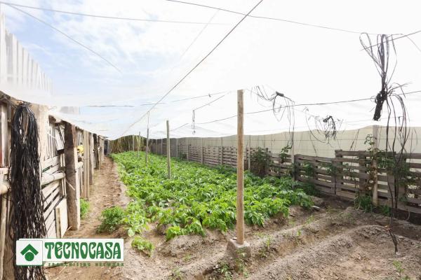 Terreno en Zanja de la Corrala
