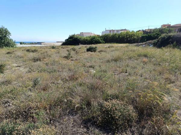 Terreno en calle Rucio, 3