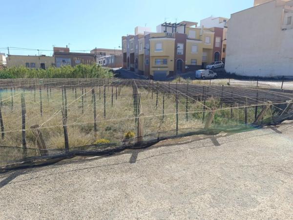 Terreno en calle Rucio, 3