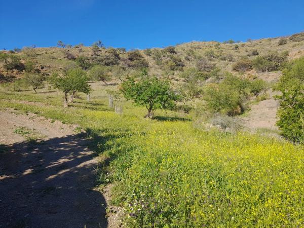 Terreno en via sin nombre s/n