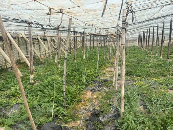 Terreno en Diseminado Cañadas, 1