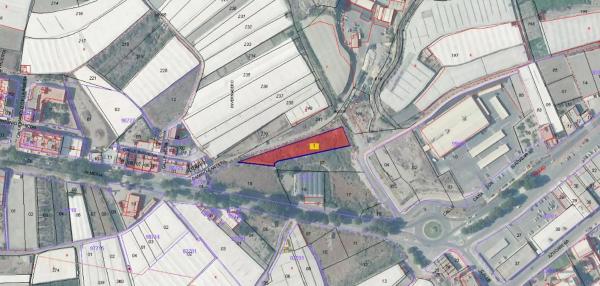 Terreno en carretera de Almeria