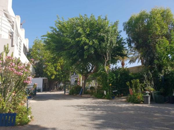 Terreno en camino Camping, 30