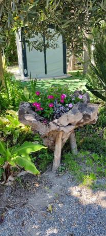 Terreno en camino Camping, 30