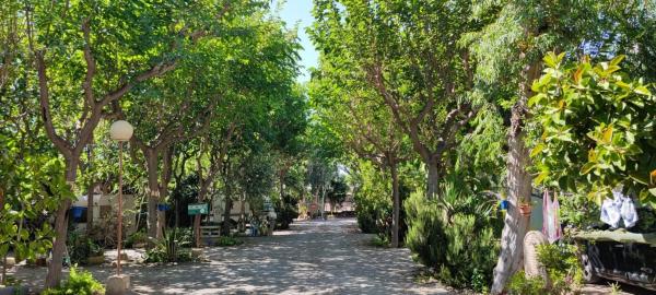 Terreno en camino Camping, 30