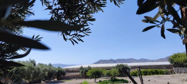 Terreno en camino Camping, 30