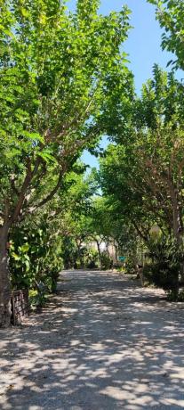 Terreno en camino Camping, 30