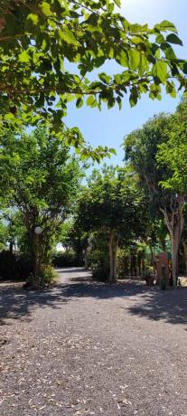 Terreno en camino Camping, 30