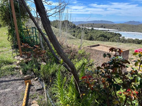 Terreno en camino Vial, 6