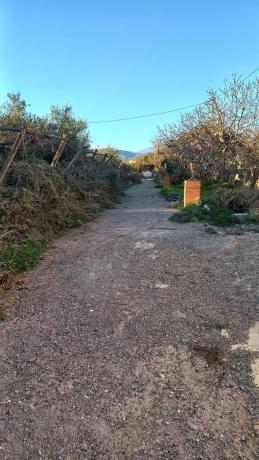 Terreno en calle Vicente Aleixandre s/n