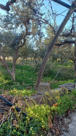 Terreno en calle Vicente Aleixandre s/n