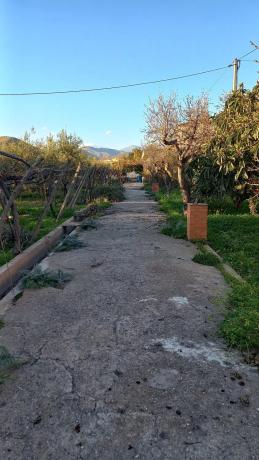 Terreno en calle Vicente Aleixandre s/n