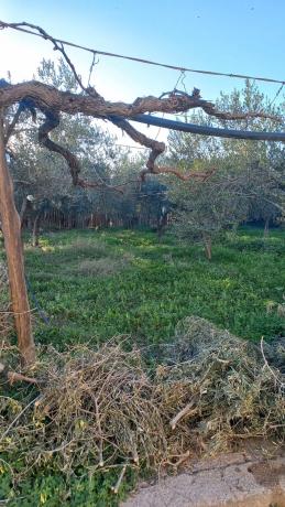 Terreno en calle Vicente Aleixandre s/n