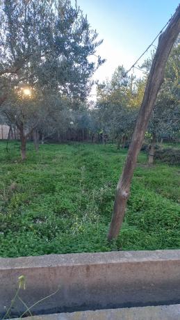 Terreno en calle Vicente Aleixandre s/n