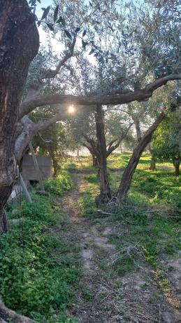 Terreno en calle Vicente Aleixandre s/n