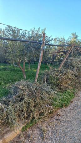 Terreno en calle Vicente Aleixandre s/n