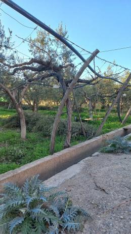 Terreno en calle Vicente Aleixandre s/n