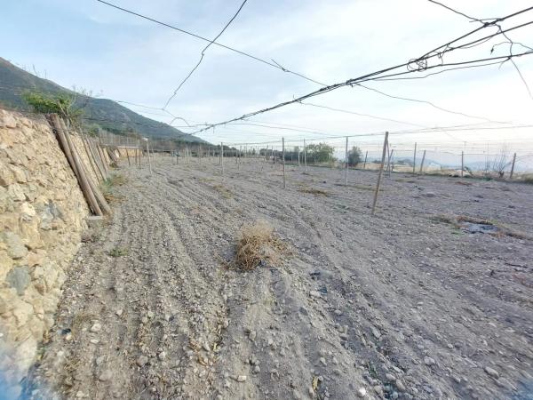 Terreno en Berja