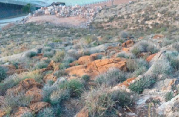 Terreno en A-1175, 6