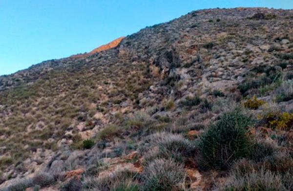 Terreno en A-1175, 6