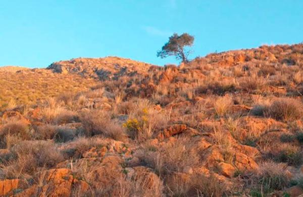 Terreno en A-1175, 6