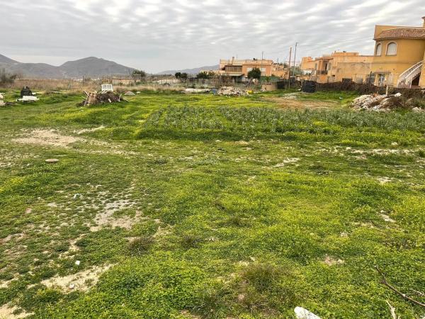 Terreno en camino la Erilla, 5