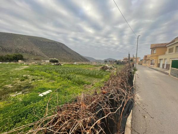 Terreno en camino la Erilla, 5