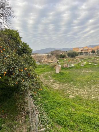Terreno en camino la Erilla, 5