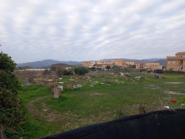 Terreno en camino la Erilla, 5