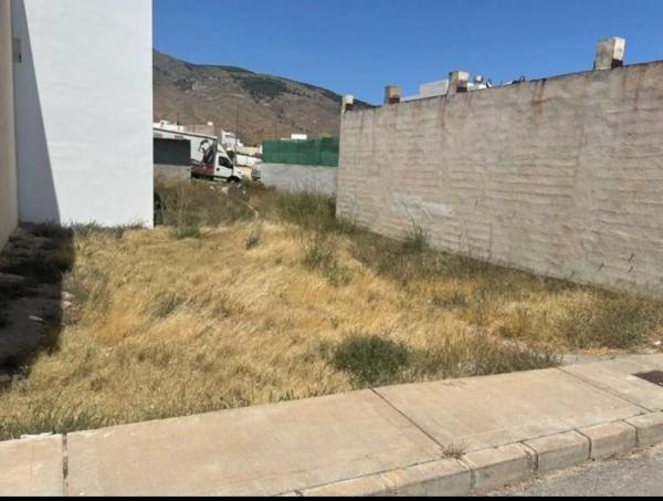 Terreno en calle Treinta de Julio, 39