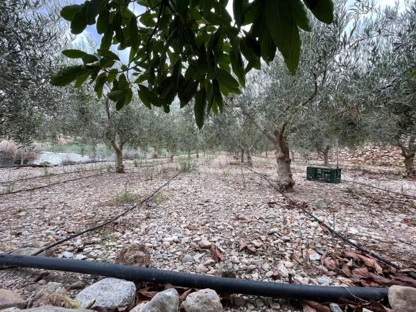 Terreno en avenida de las Alpujarras, 2