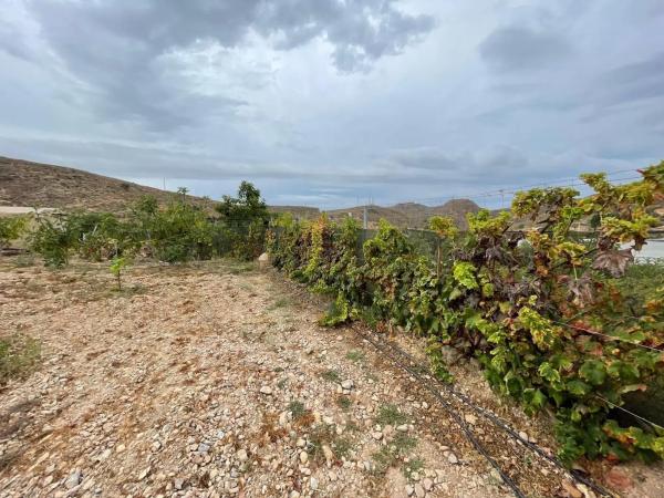 Terreno en avenida de las Alpujarras, 2