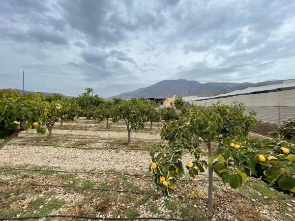 Terreno en avenida de las Alpujarras, 2