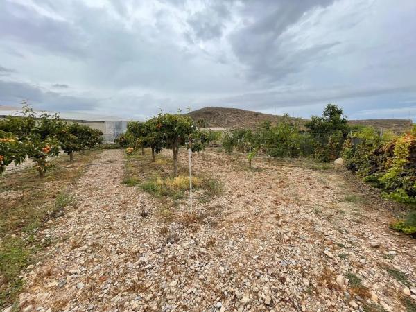 Terreno en avenida de las Alpujarras, 2