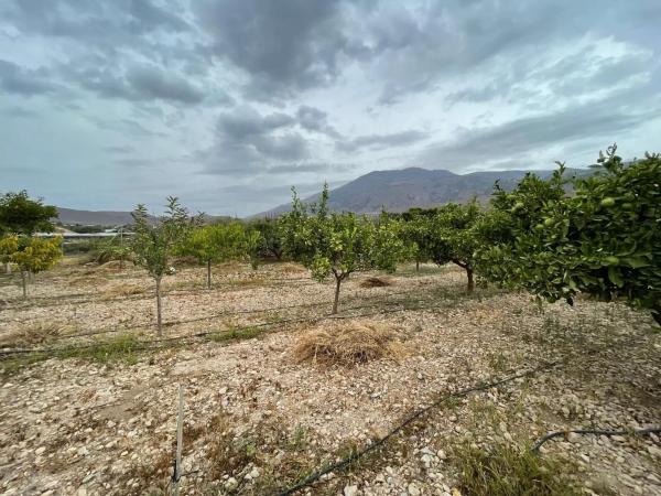Terreno en avenida de las Alpujarras, 2