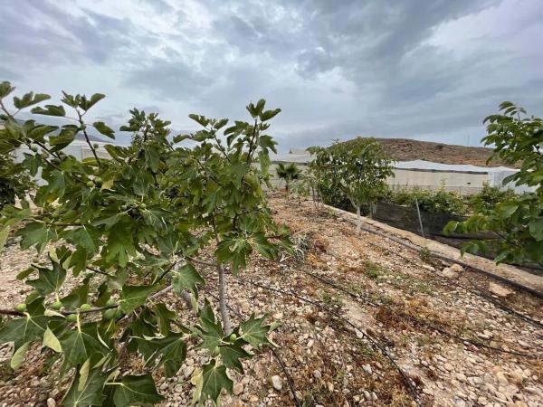 Terreno en avenida de las Alpujarras, 2
