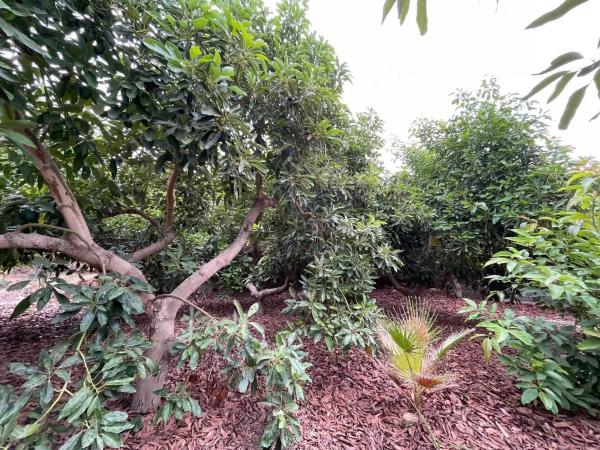 Terreno en avenida de las Alpujarras, 2