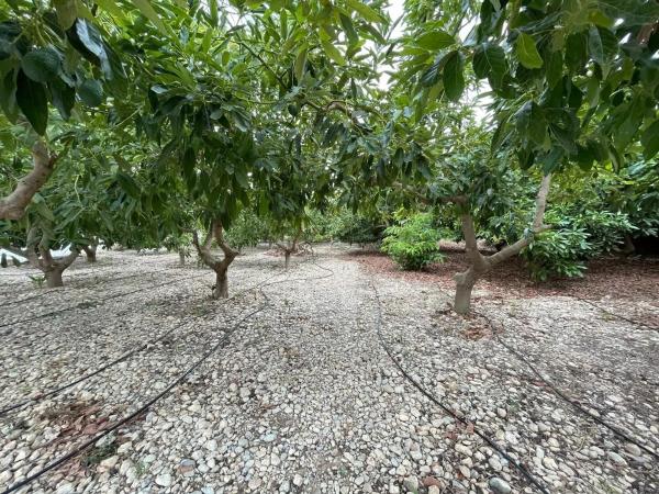 Terreno en avenida de las Alpujarras, 2
