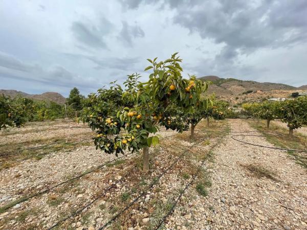 Terreno en avenida de las Alpujarras, 2