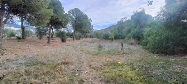 Terreno en carretera de Berja 04750, km 7