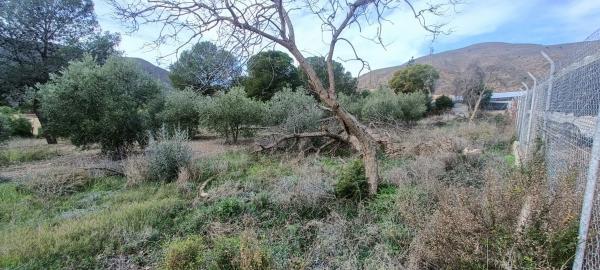 Terreno en carretera de Berja 04750, km 7